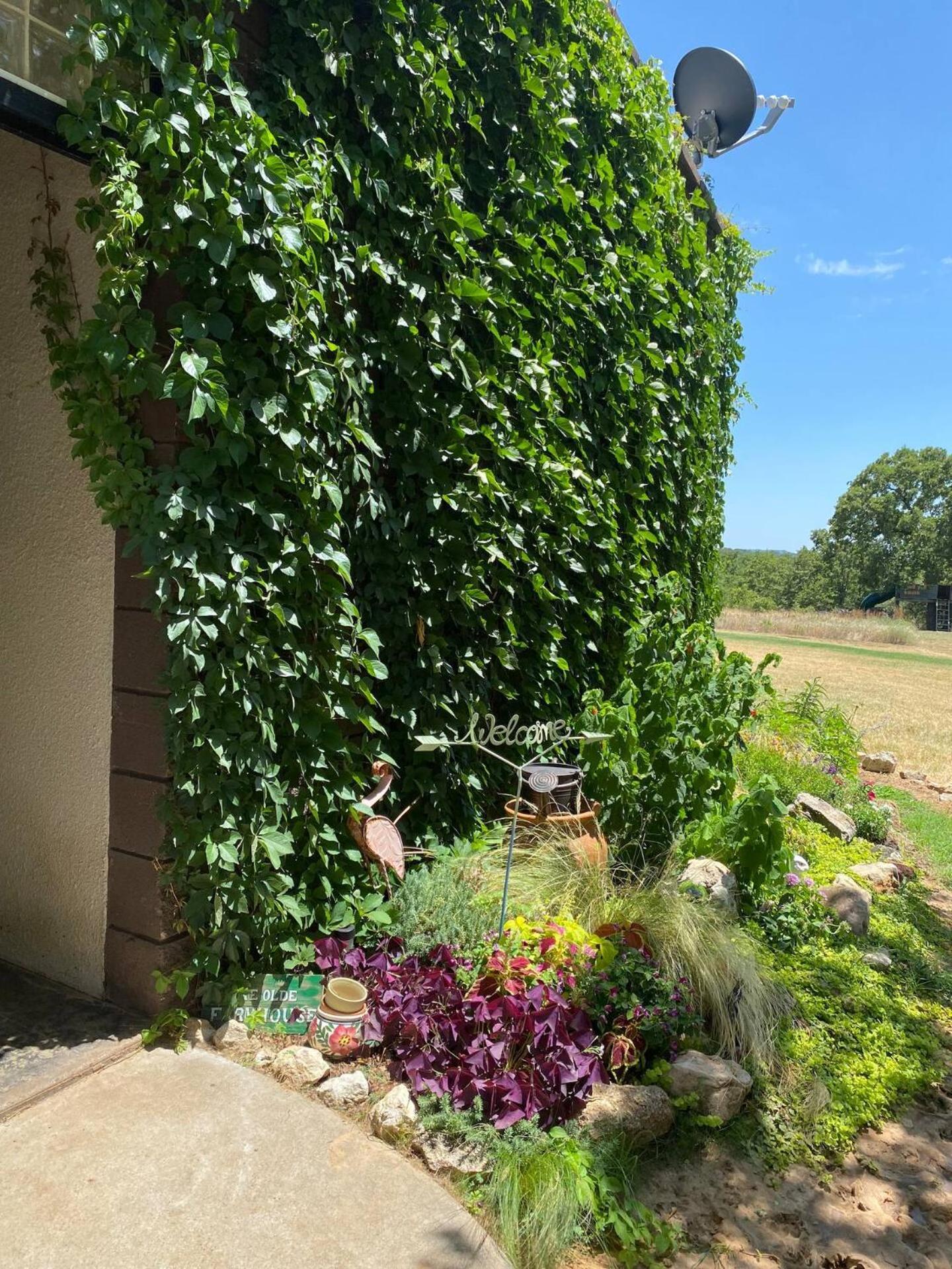 Nature Retreateclectic Country Boho Farmhouse Nocona Exteriér fotografie